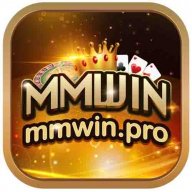mmwinpro