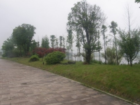 1002271319_Photoshop_2_480x0.jpg