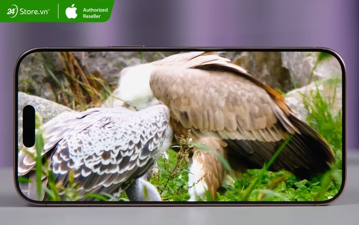 iPhone 16 Pro Max cũ là lựa chọn tối ưu về giá trị tại 24hStore