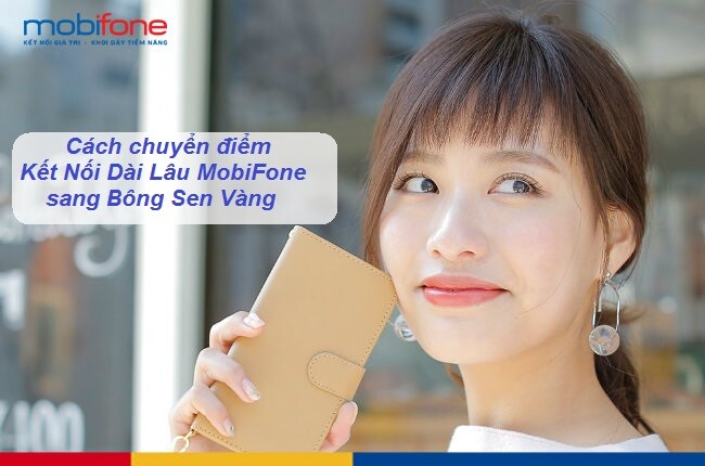 diem-ket-noi-dai-lau-sang-bong-sen-vang.jpg