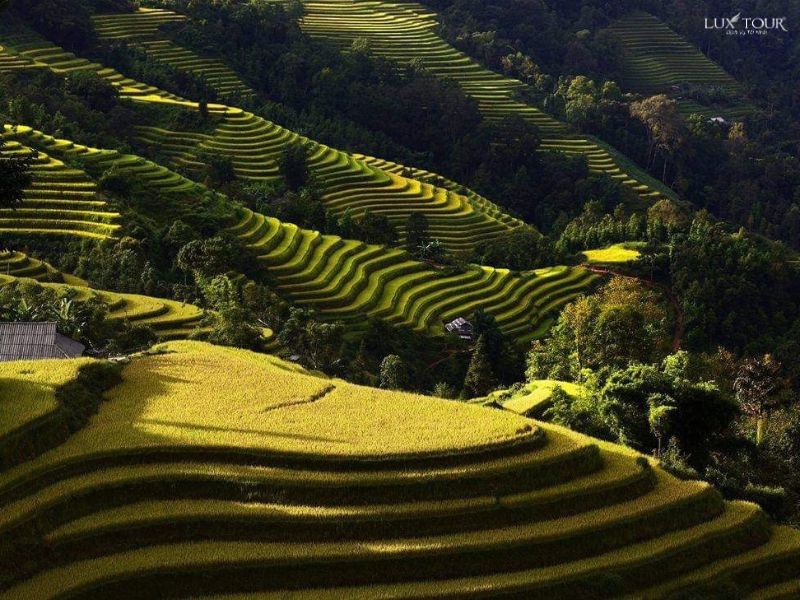 ta-su-choong-ruong-bac-thang-2.jpg