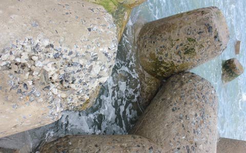 20121030142926_7.jpg