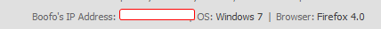 IP Address in Footer for vB 4