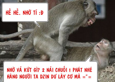 2333684009_4079e6bff3_o.jpg