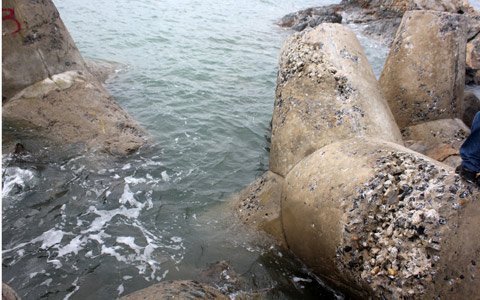 20121030143044_10.jpg