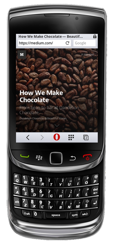 Opera-mini-8-web-browsing-201431215442.JPG