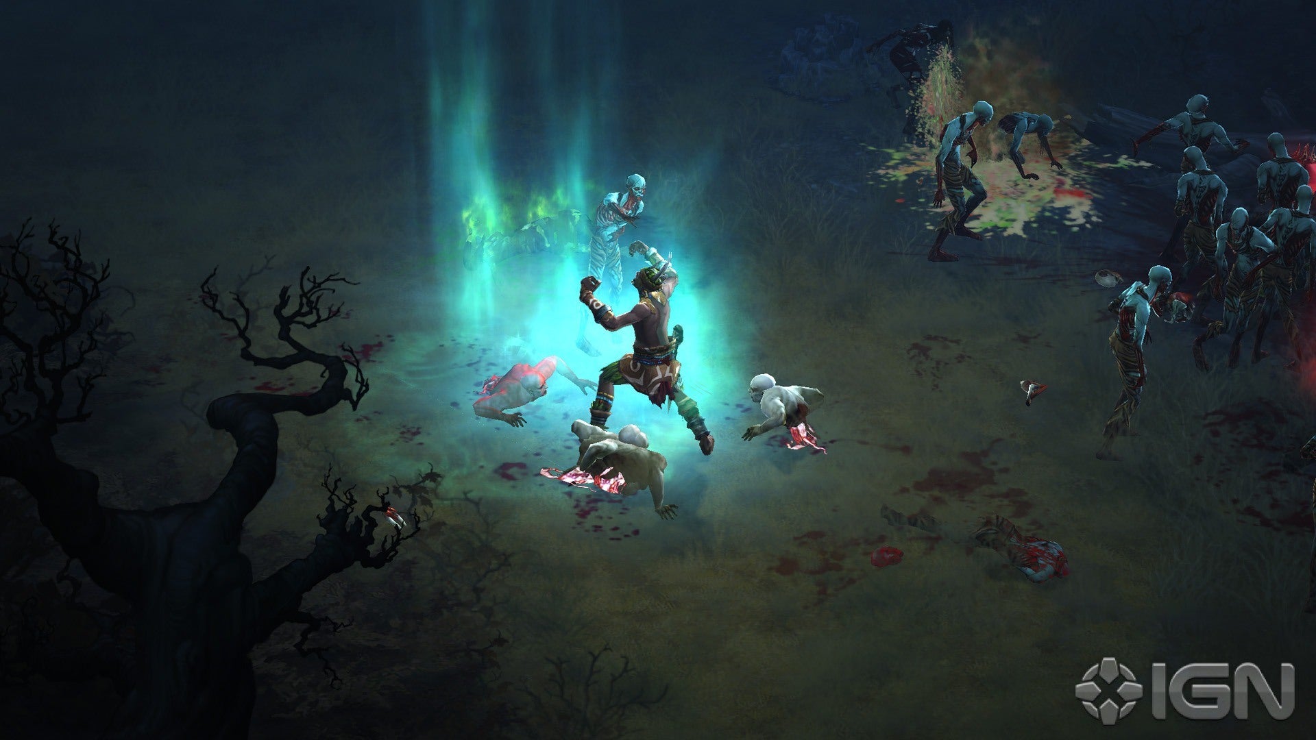 diablo-iii-20110729045335372-3498368.jpg
