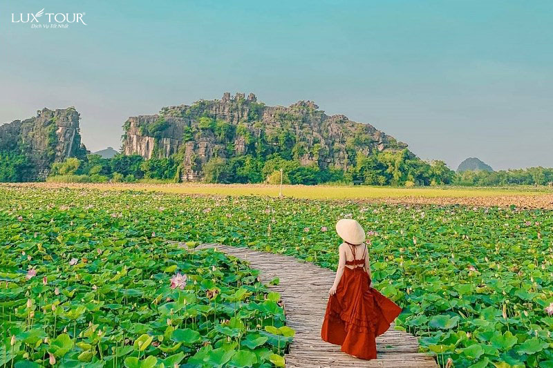 hang-mua-ninh-binh-9.jpg
