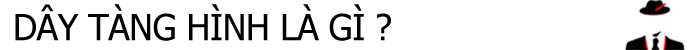 day-tang-hinh-la-gi.jpg