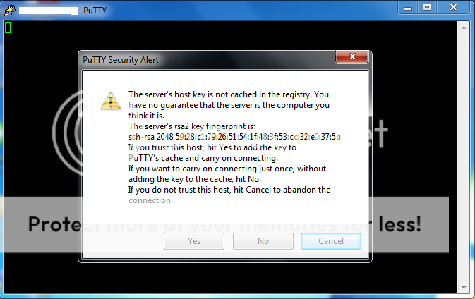 putty2.png