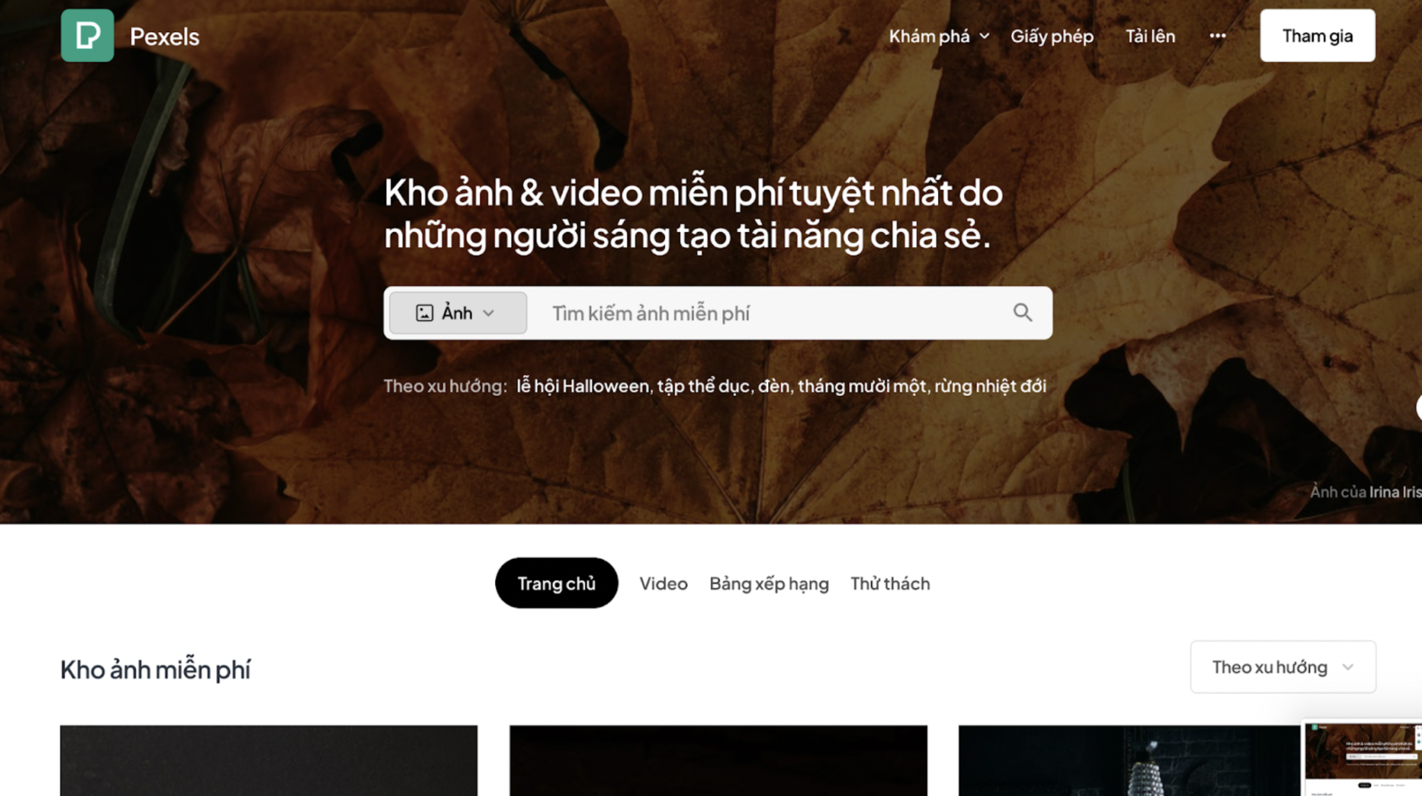 Tài nguyên thiết kế 03 Tài nguyên thiết kế 03