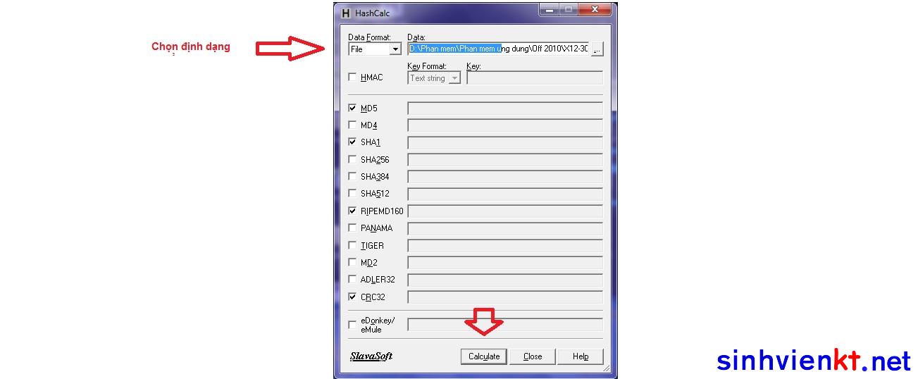 SinhVienKT.Net---md51.jpg